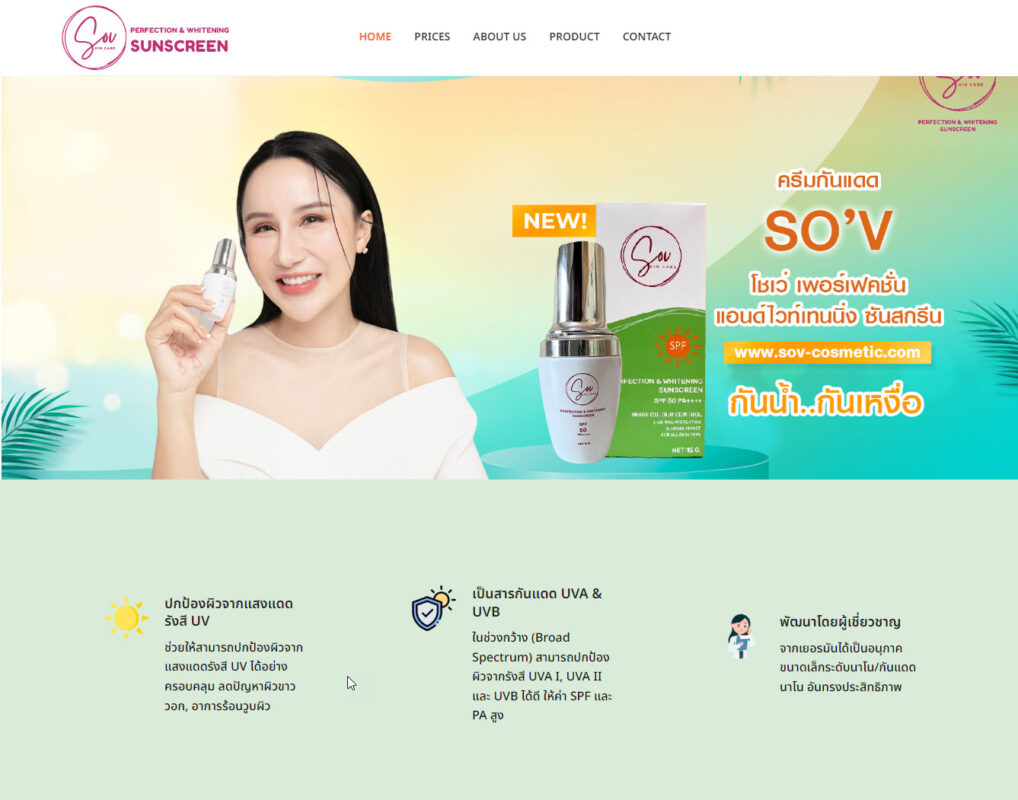 ดูแลเว็บไซต์ wordpress
